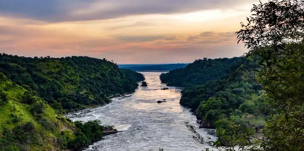 Sudan Pillars Consortium Contact